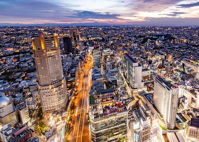 Hotel: Cerulean Tower Tokyu Hotel, A Pan Pacific Partner Hotel