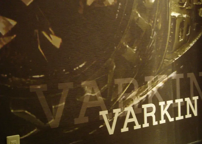 Hotel VARKIN